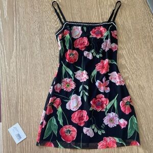 Danielle Guizio Mesh Mini Dress